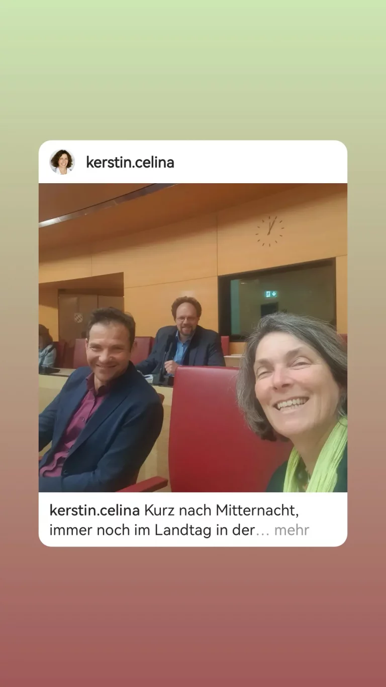 MdL Kerstin Celina- Plenarbesprechung